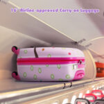 5 Piece Kids Luggage Set with Backpack, Neck Pillow, Name Tag, Lunch Bag